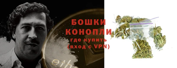 ПСИЛОЦИБИНОВЫЕ ГРИБЫ Баксан