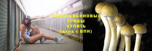 метамфетамин Белокуриха