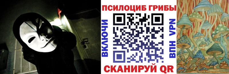 закладки  Берёзовский  Псилоцибиновые грибы Magic Shrooms 