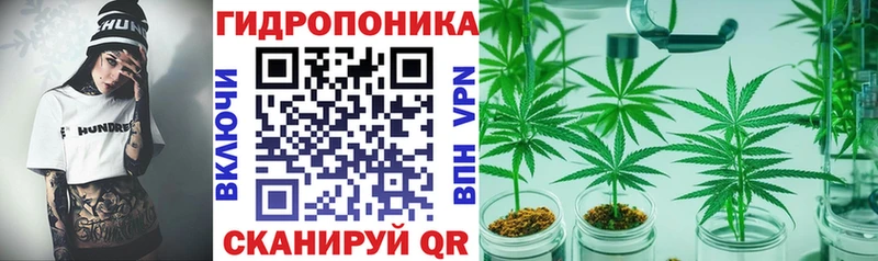 Бошки Шишки Ganja  hydra   Берёзовский 